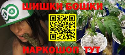 стафф Заводоуковск