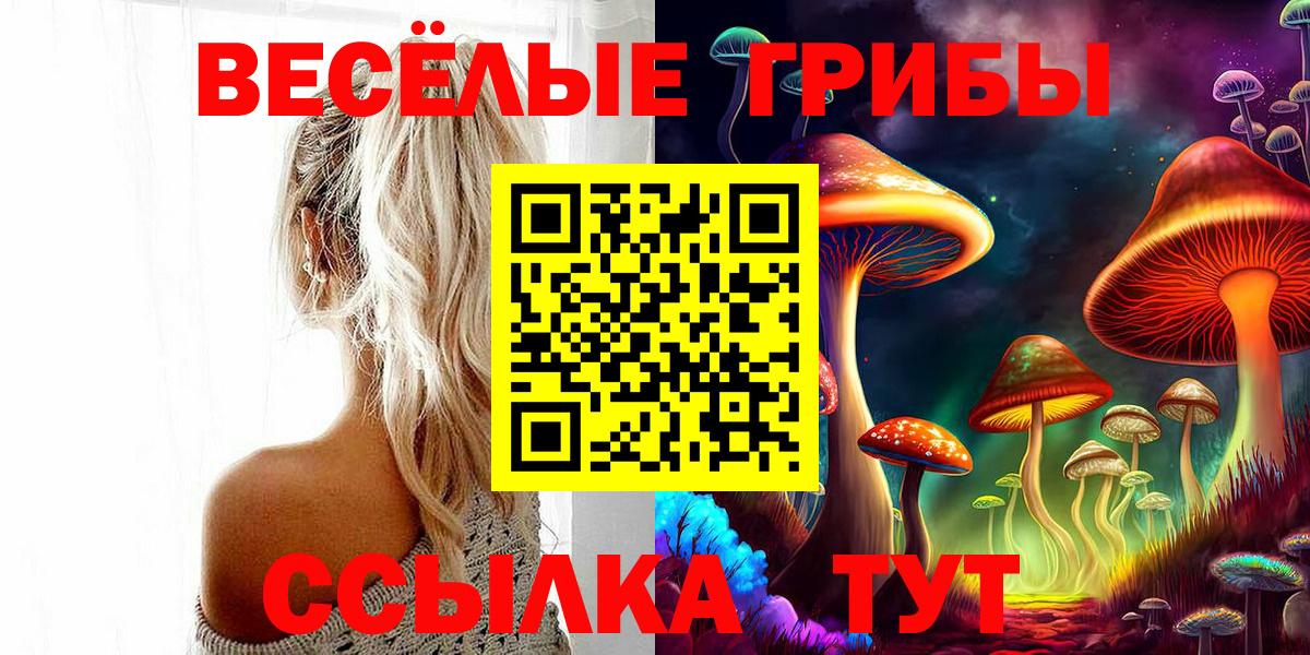 Псилоцибиновые грибы мицелий  Вход с VPN  Михайловка 